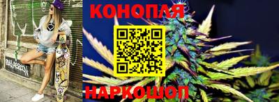 метадон Новодвинск